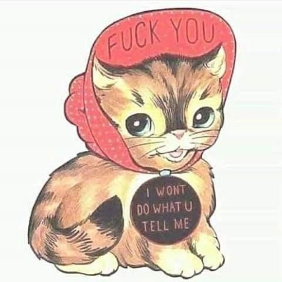 Meet your Posher, Maren - Picture 1 of 1